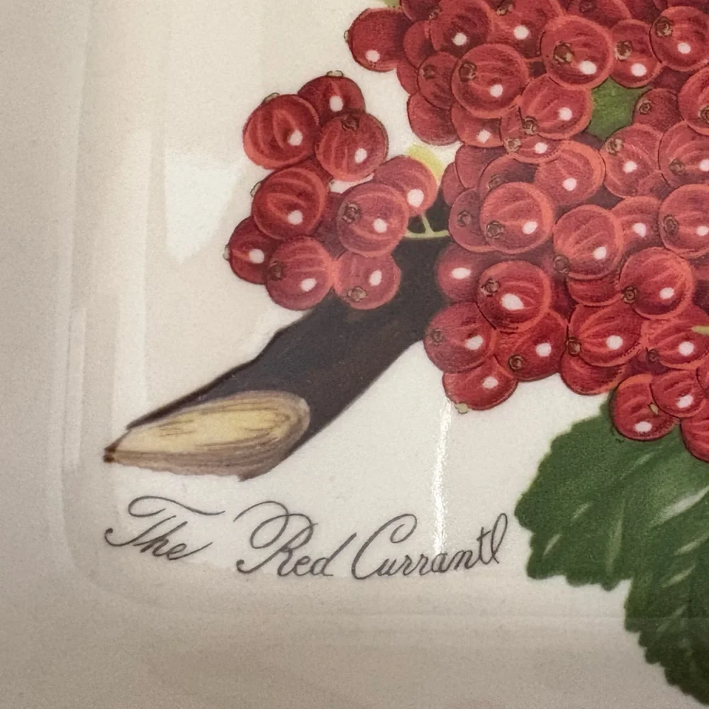Pomona The Red Currant Ceramic Oven Safe Serving Dish casserole